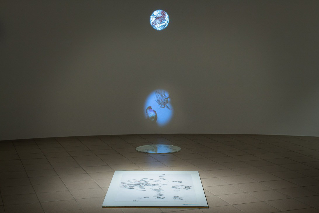 Th 3990847171 1092x728